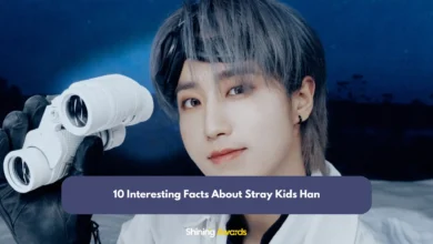 Facts About Stray Kids Han