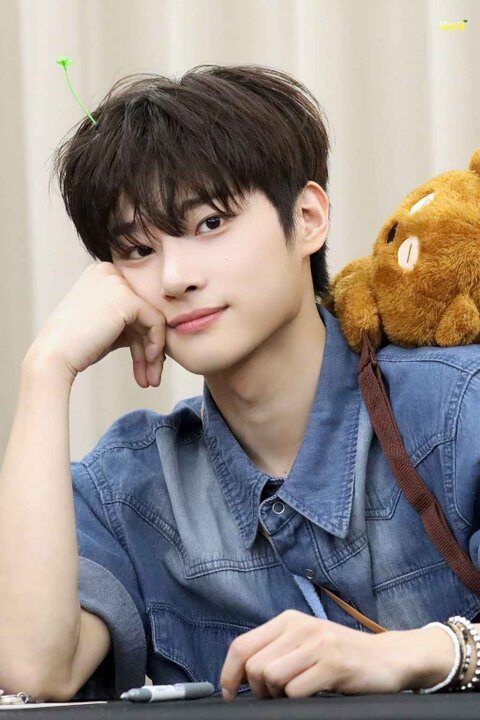 yedam image