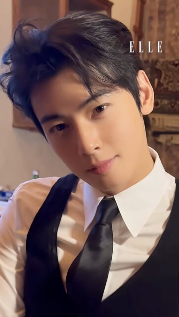 Cha Eunwoo Investigation Documents