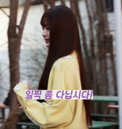 Reporter calling out Wonyoung