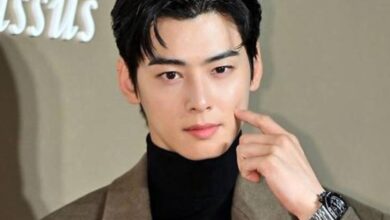 Cha Eunwoo Tax Investigation