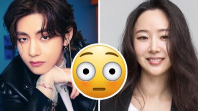 Min Hee Jin and BTS V leaked texts