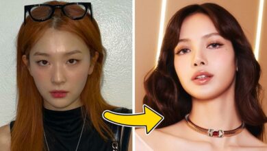 Red Velvet and BLACKPINK Lisa controversy