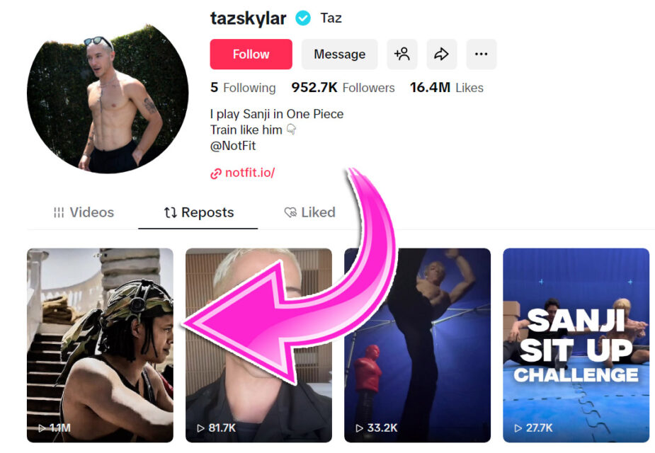 Taz Skylar reposting Zosan edit