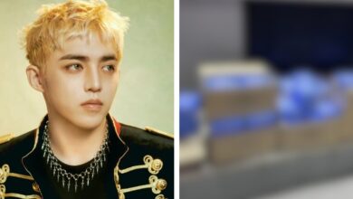 "Proof" Of SEVENTEEN Faking Album Sales Goes Viral, Triggering Strong Reactions