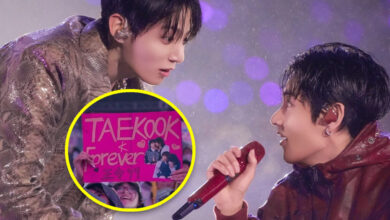 BTS's V Basically Told A "TaeKook" Shipper To Go Touch Grass