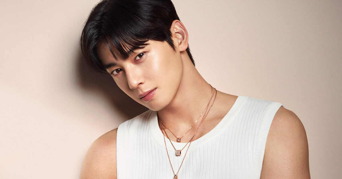 The Reason ASTRO's Cha Eunwoo Didn't Pay His Tax Evasion Bill Until Now