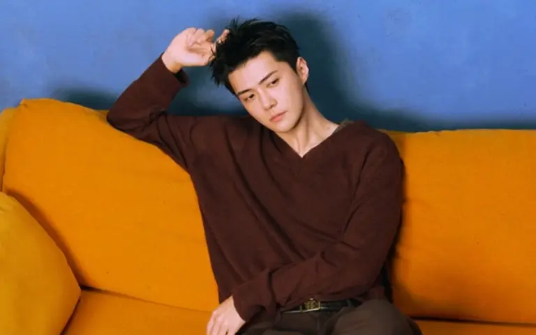 Sehun performing on stage during EXO concert tour