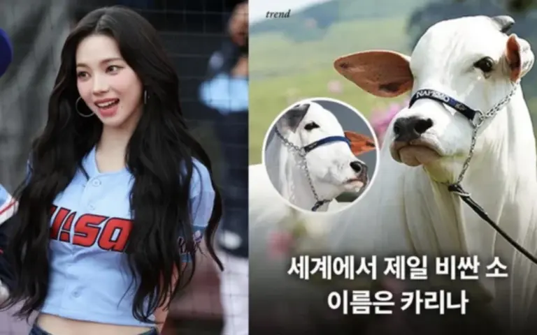aespa's Karina reacts to $5M Nelore cow Carina FIV do Kado